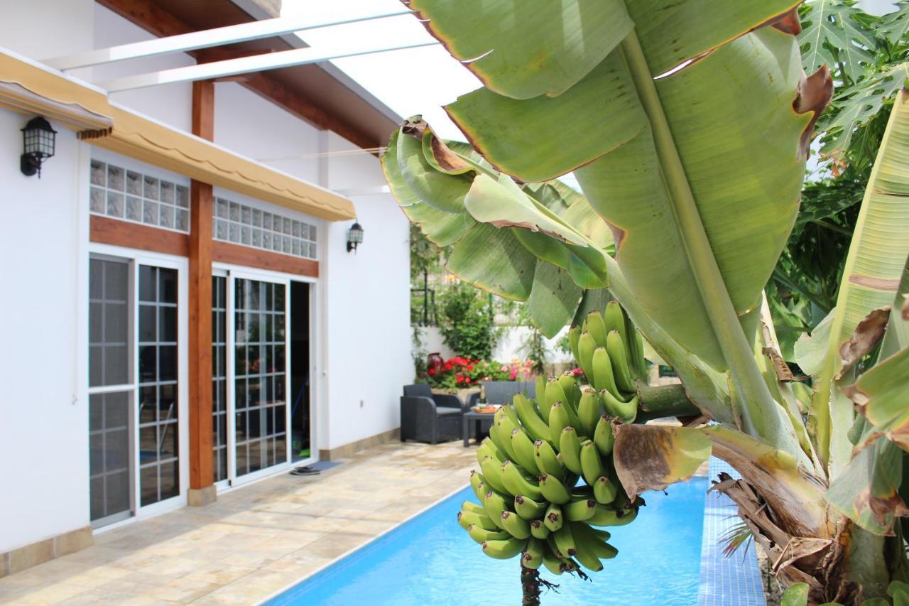 Casa El Olivo, Tenerife Valle de San Lorenzo Kültér fotó