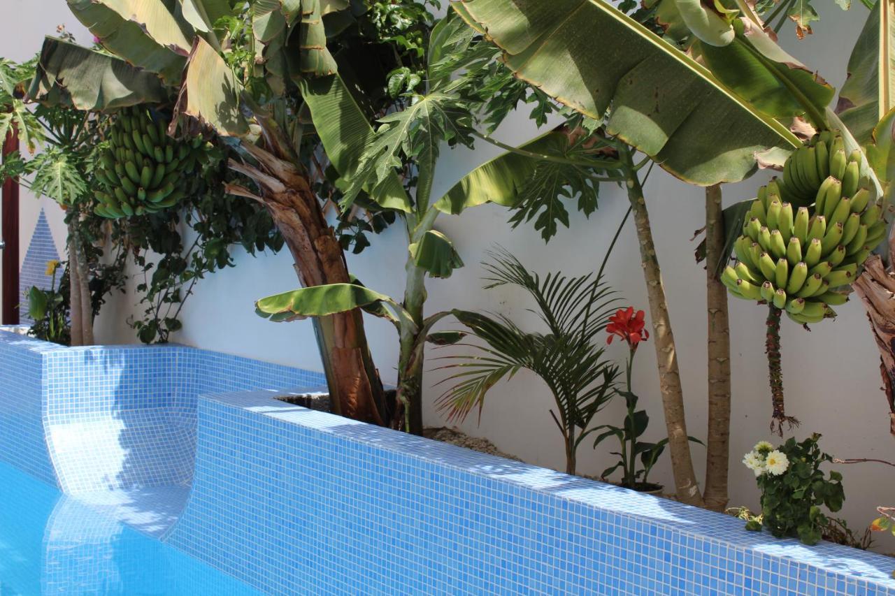 Casa El Olivo, Tenerife Valle de San Lorenzo Kültér fotó